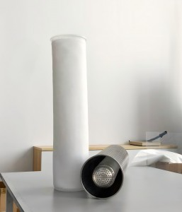 Dual-Flow-Filter-Bag-257x300